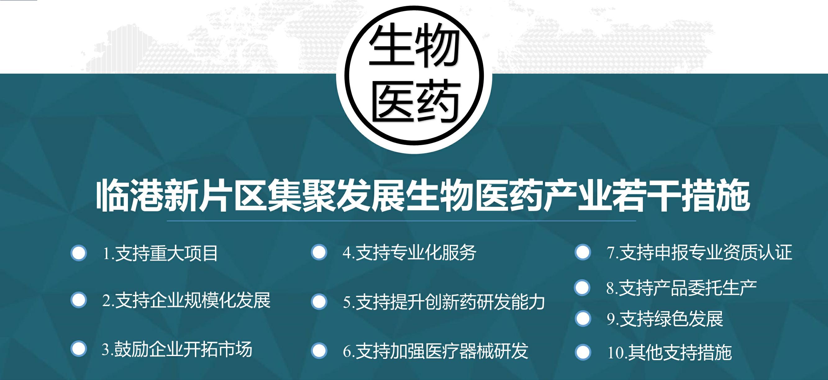 臨港奉賢注冊(cè)公司